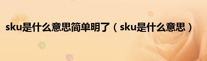 sku是什么意思简单明了（sku是什么意思）