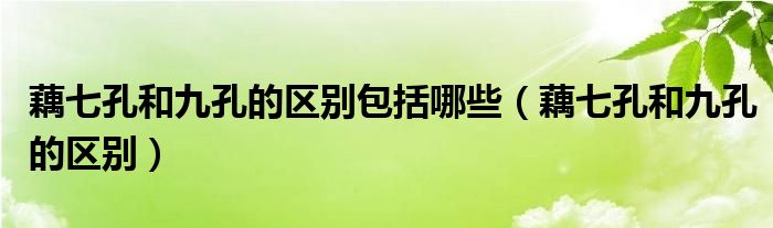 藕七孔和九孔的区别包括哪些（藕七孔和九孔的区别）