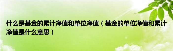 什么是基金的累计净值和单位净值（基金的单位净值和累计净值是什么意思）