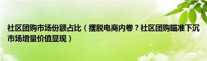 社区团购市场份额占比（摆脱电商内卷？社区团购瞄准下沉市场增量价值显现）