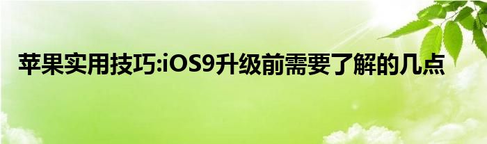 苹果实用技巧:iOS9升级前需要了解的几点