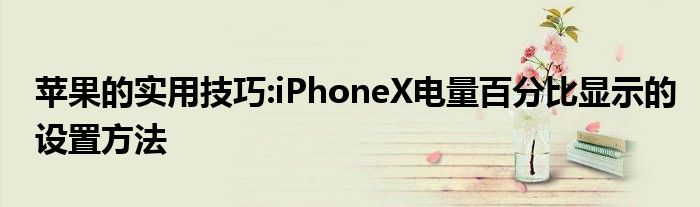 苹果的实用技巧:iPhoneX电量百分比显示的设置方法