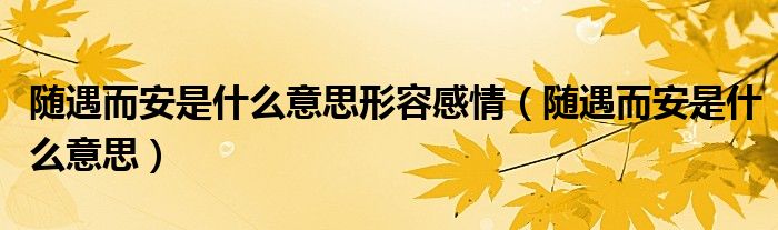 随遇而安是什么意思形容感情（随遇而安是什么意思）