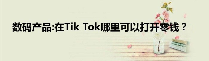 数码产品:在Tik Tok哪里可以打开零钱？