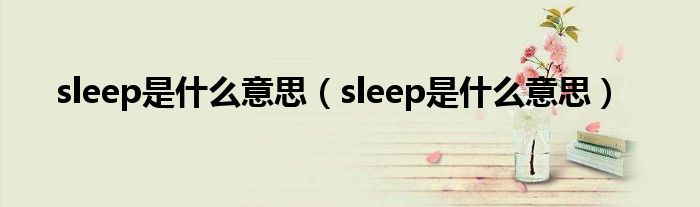 sleep是什么意思（sleep是什么意思）