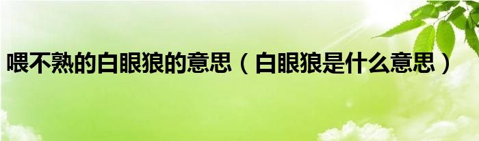 喂不熟的白眼狼的意思（白眼狼是什么意思）