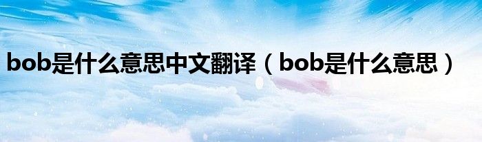 bob是什么意思中文翻译（bob是什么意思）