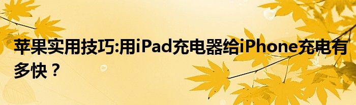 苹果实用技巧:用iPad充电器给iPhone充电有多快？