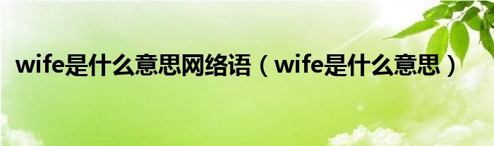 wife是什么意思网络语（wife是什么意思）