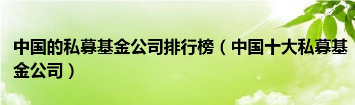 中国的私募基金公司排行榜（中国十大私募基金公司）