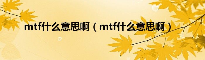 mtf什么意思啊（mtf什么意思啊）