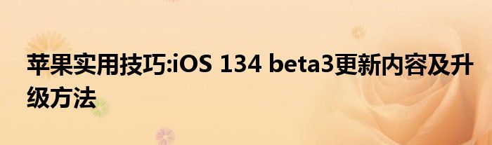 苹果实用技巧:iOS 134 beta3更新内容及升级方法