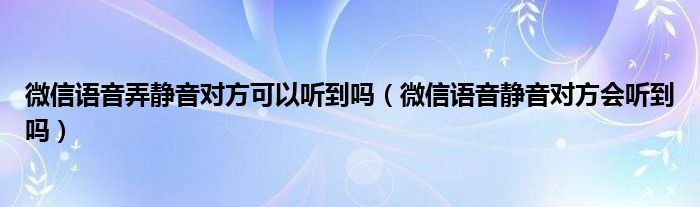 微信语音弄静音对方可以听到吗（微信语音静音对方会听到吗）