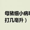 母猪细小病毒疫苗打了4毫升（母猪细小病毒打几毫升）