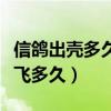 信鸽出壳多久可以自己吃食（信鸽从出壳到起飞多久）