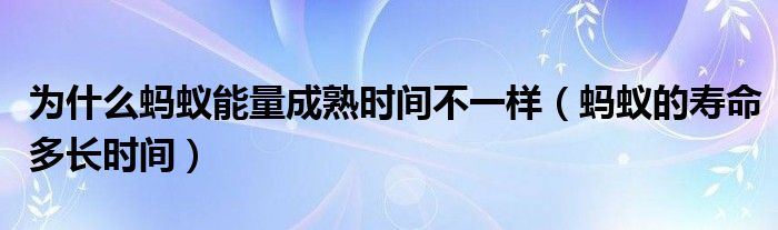 为什么蚂蚁能量成熟时间不一样（蚂蚁的寿命多长时间）