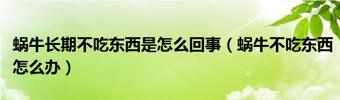 蜗牛长期不吃东西是怎么回事（蜗牛不吃东西怎么办）