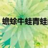 蟾蜍牛蛙青蛙的区别（蟾蜍牛蛙青蛙的区别）