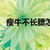 瘦牛不长膘怎么办（牛瘦不长膘怎么回事）