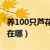 养100只芦花鸡一年利润多少（芦花鸡的产地在哪）