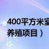 400平方米室内养殖有什么项目（小面积室内养殖项目）