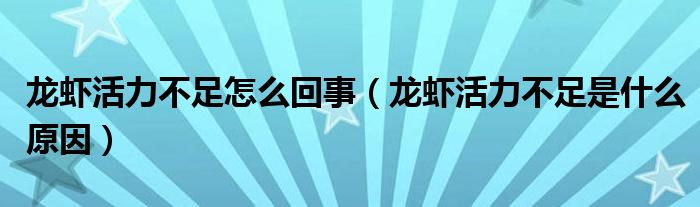 龙虾活力不足怎么回事（龙虾活力不足是什么原因）