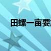 田螺一亩要放多少种螺（田螺分多少种）