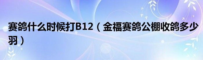 赛鸽什么时候打B12（金福赛鸽公棚收鸽多少羽）