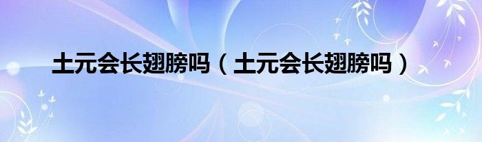 土元会长翅膀吗（土元会长翅膀吗）