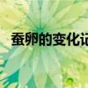 蚕卵的变化记录表（蚕卵怎么保存到明年）