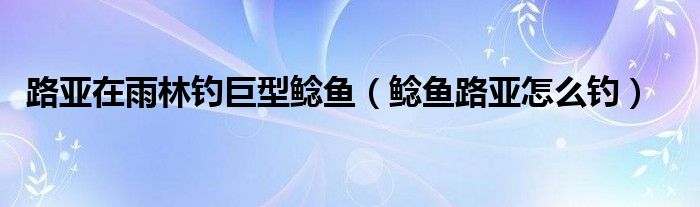 路亚在雨林钓巨型鲶鱼（鲶鱼路亚怎么钓）