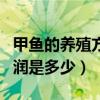 甲鱼的养殖方法与技术（养甲鱼一亩地一年利润是多少）