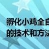 孵化小鸡全自动机器的全过程（机器孵化小鸡的技术和方法）