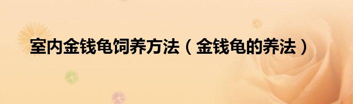 室内金钱龟饲养方法（金钱龟的养法）