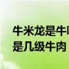 牛米龙是牛哪里的肉（和牛里脊有什么区别 是几级牛肉）