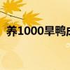 养1000旱鸭成本多少（养殖大棚如何建设）