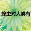 蝗虫对人类有没有危害（蝗虫对人类有益吗）