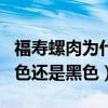 福寿螺肉为什么有黑褐色的（福寿螺的肉是白色还是黑色）