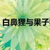 白鼻狸与果子狸的区别（果子狸和山猫区别）