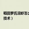 稻田罗氏沼虾怎么养小技巧图文（南美白对虾罗氏沼虾混养技术）