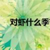 对虾什么季节收获最好（对虾收获季节）