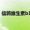 信鸽维生素b12使用方法（换预期可以喂吗）