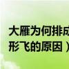 大雁为何排成人字形或一字形飞行（大雁人字形飞的原因）