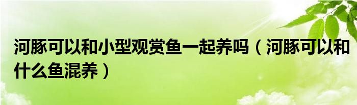 河豚可以和小型观赏鱼一起养吗（河豚可以和什么鱼混养）