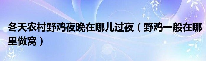 冬天农村野鸡夜晚在哪儿过夜（野鸡一般在哪里做窝）