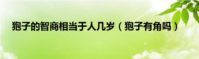 狍子的智商相当于人几岁（狍子有角吗）