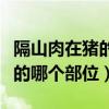 隔山肉在猪的什么位置（挡风肉、腰梅肉在猪的哪个部位）