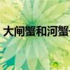 大闸蟹和河蟹一样吗（河蟹和大闸蟹的区别）