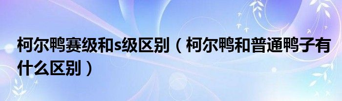 柯尔鸭赛级和s级区别（柯尔鸭和普通鸭子有什么区别）