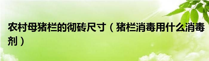 农村母猪栏的彻砖尺寸（猪栏消毒用什么消毒剂）